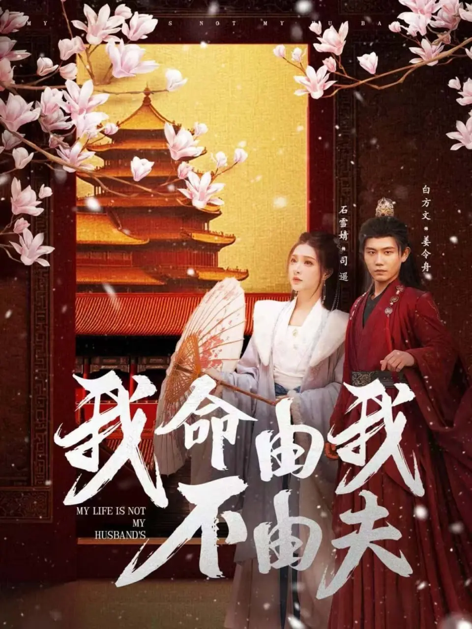 女性命运逆袭传奇:解析《我命由我不由夫》的独立精神
