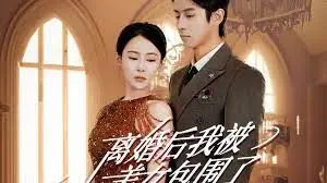 离婚后，我被美女包围：浪漫与冒险的交织