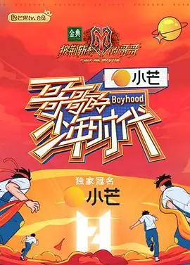 重返童年：《哥哥的少年时代》影评：一段关于成长与回忆的暖心旅程