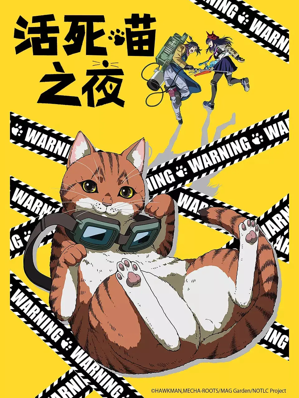 《活死喵之夜》：当萌宠化身丧尸，京都动画的脑洞让你笑出腹肌，末日日常不容错过！